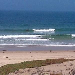 Meet your Posher, Salvador